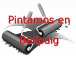 pintor_bellpuig.jpg