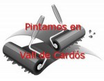 pintor_vall-de-cardos.jpg